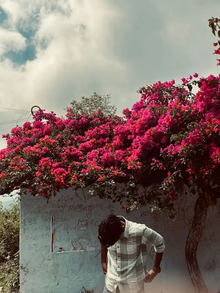 aesthetic wallpaper for whatsapp dp