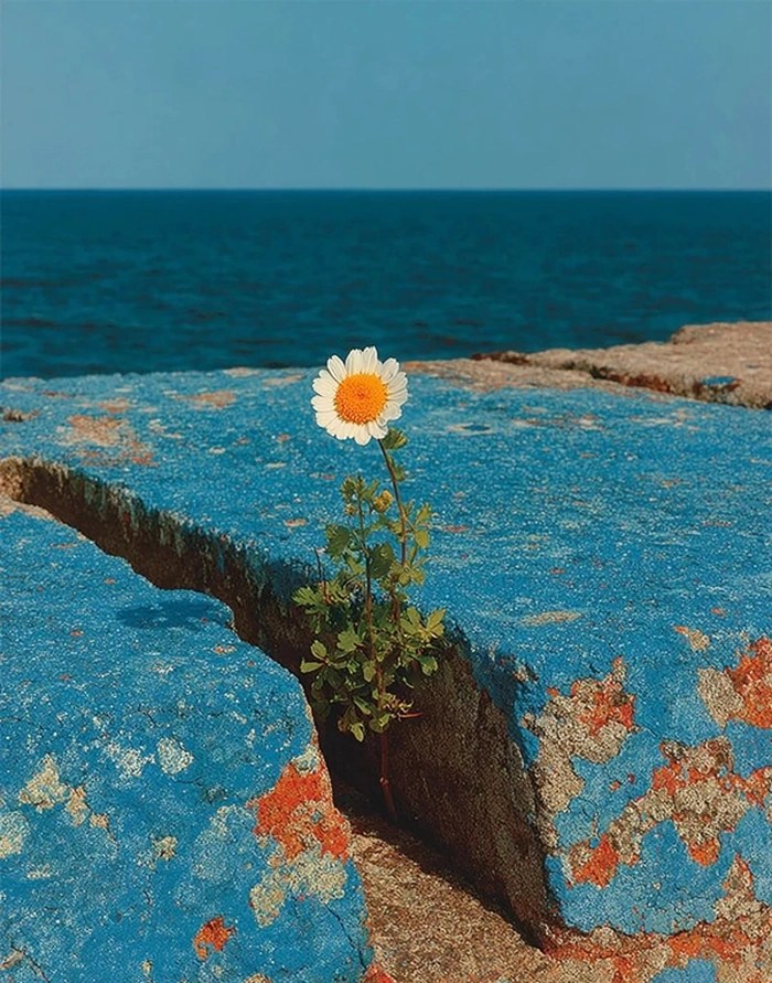 best nature images for whatsapp dp
