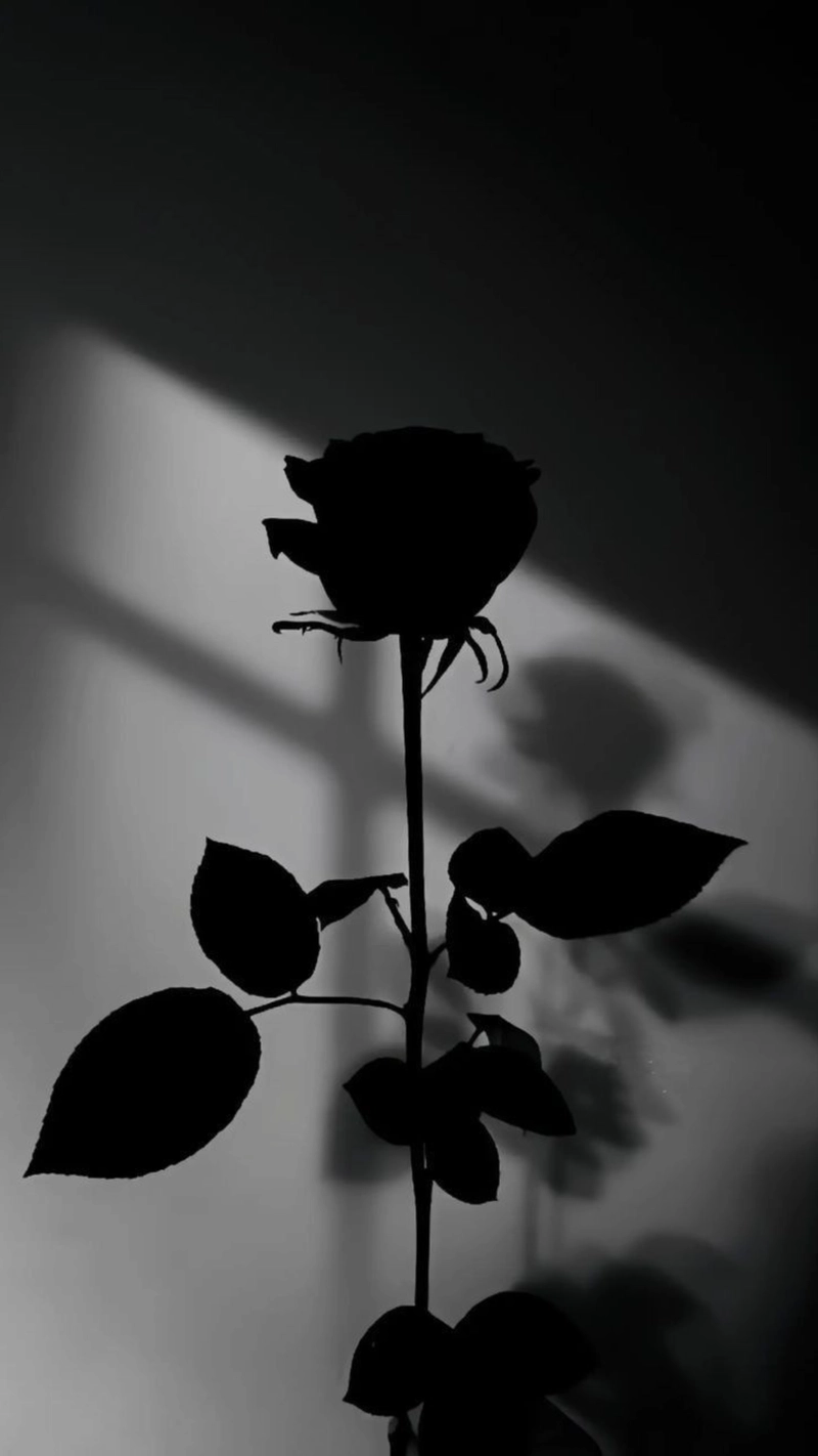 black dp for whatsapp profile
