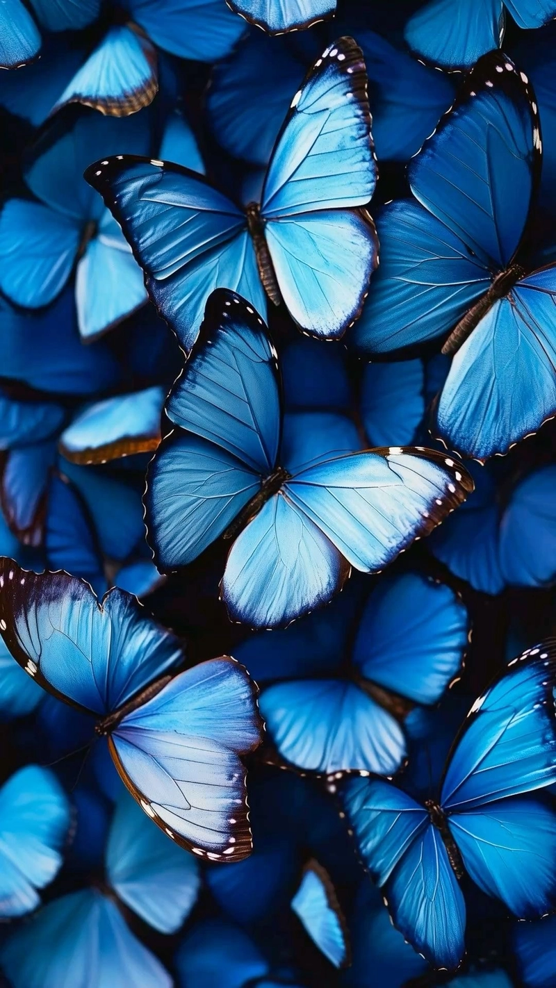 blue whatsapp dp