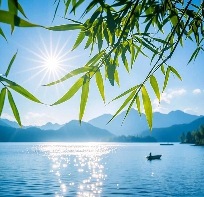 cute images of nature for dp