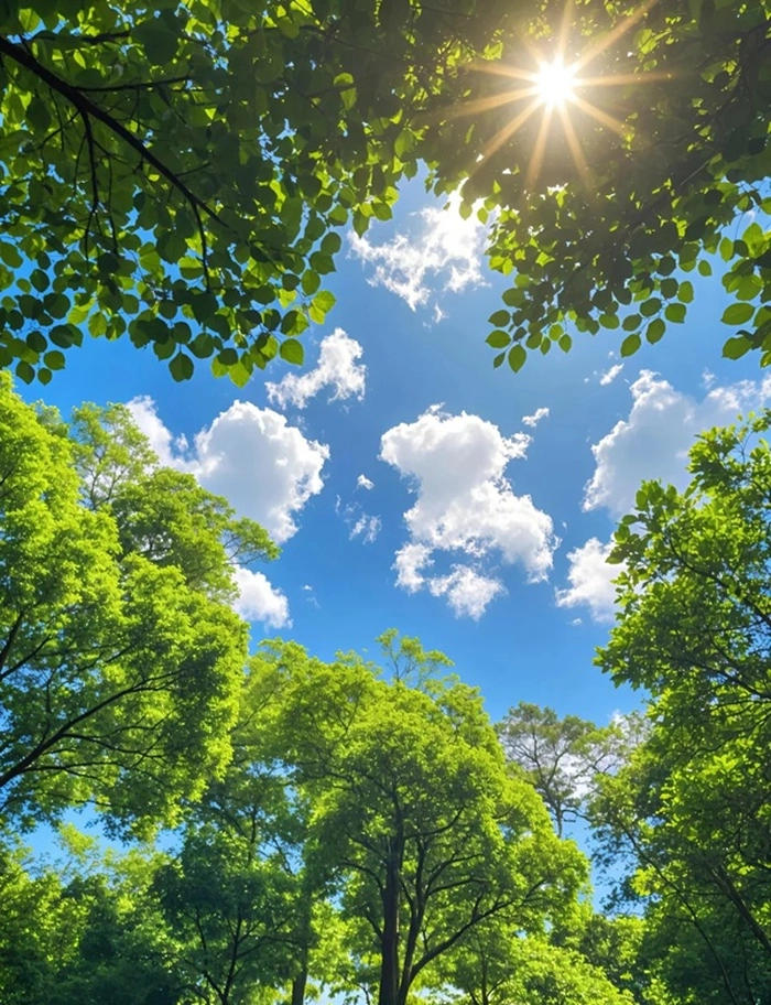 cute nature images for whatsapp dp