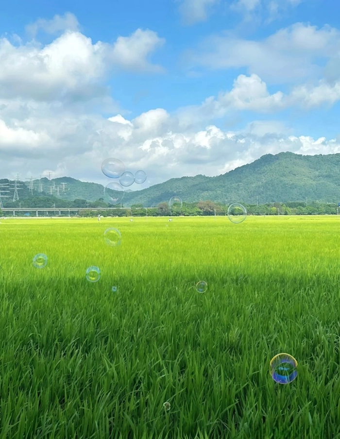 cute nature pics for whatsapp dp miniature