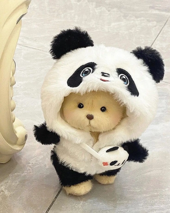 cute teddy bear images for dp