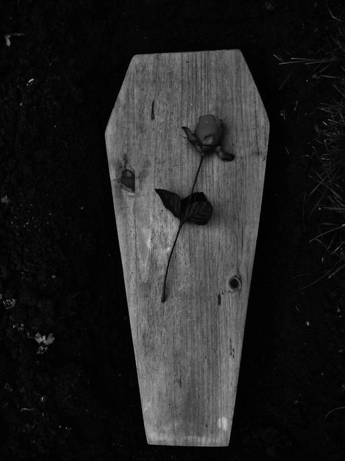 death dp whatsapp