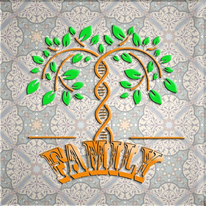 dp for family group
