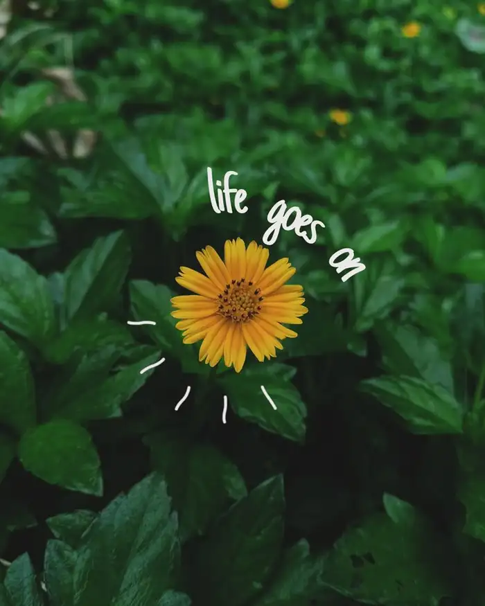 dp for whatsapp profile aesthetic