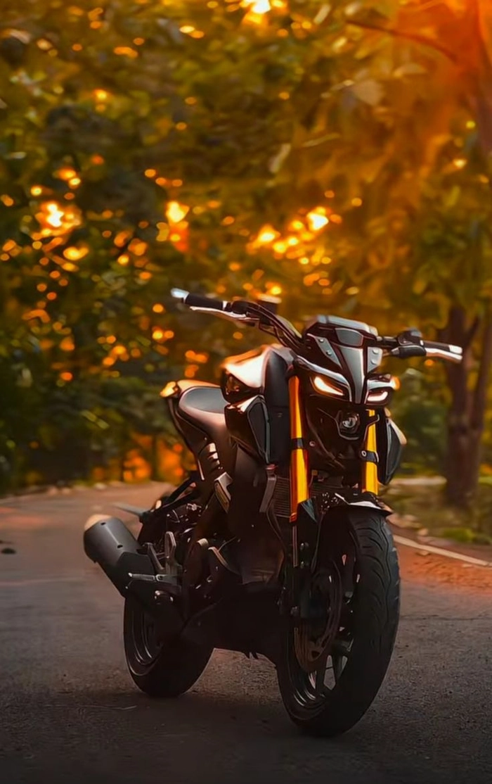 dp ktm duke 390
