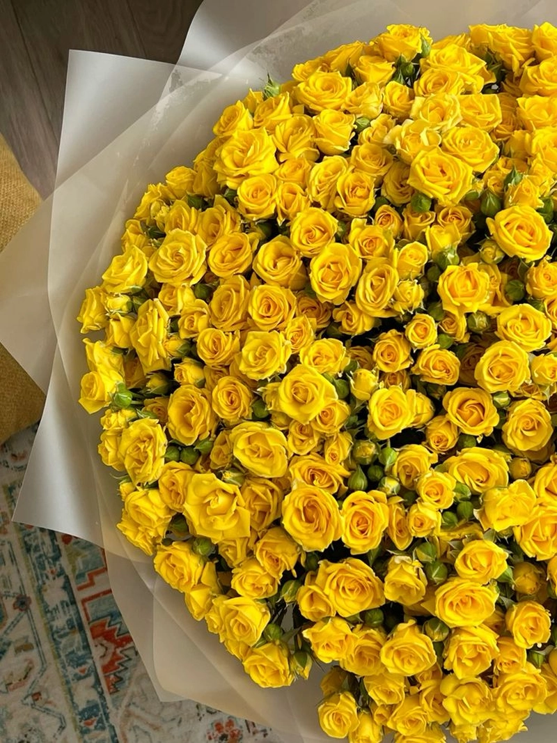 dp yellow rose images