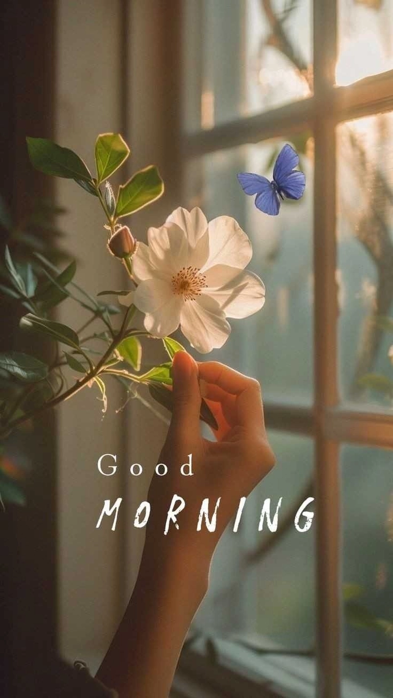 flower good morning dp