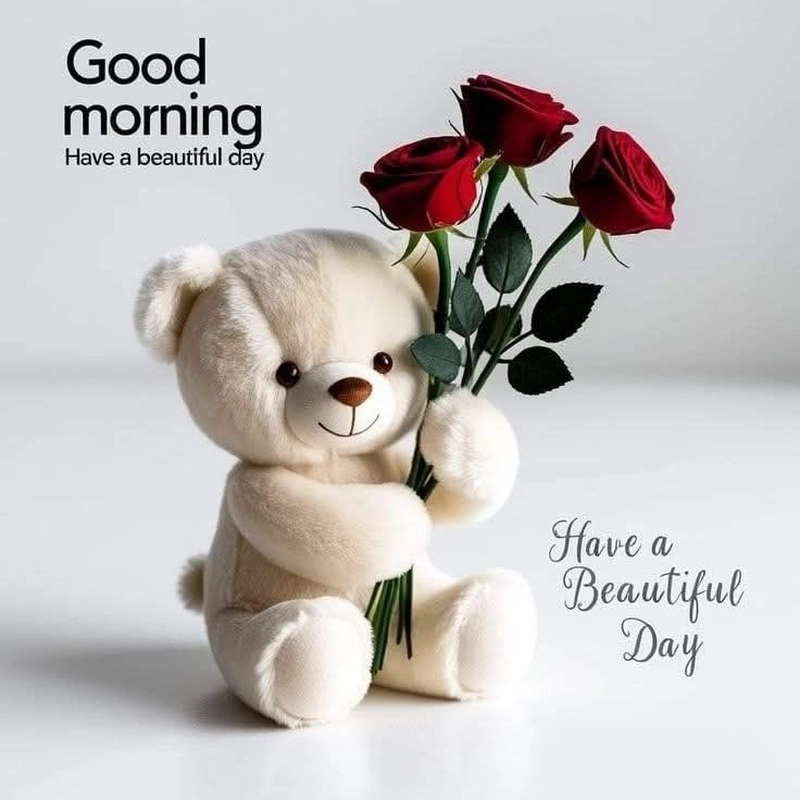 good morning dp for whatsapp