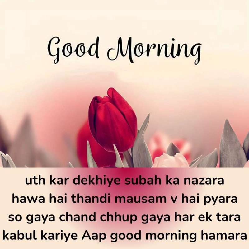 good morning dp in hindi