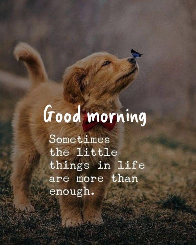 good morning images with quotes for my love