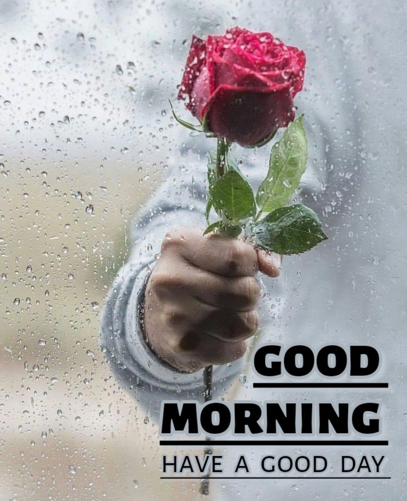 good morning my love images for him