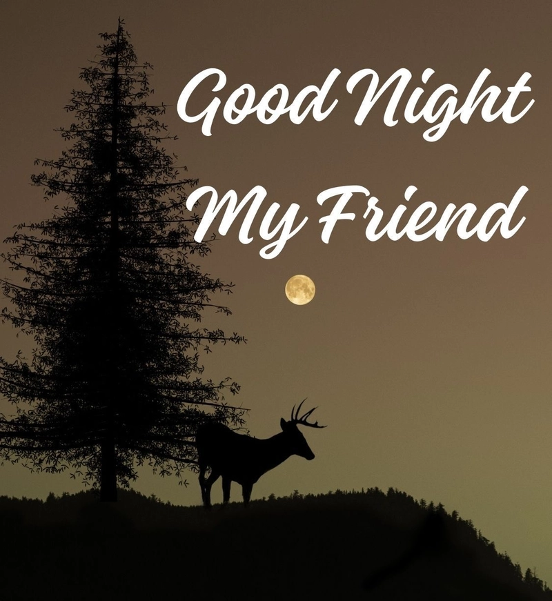 good night images for whatsapp dp