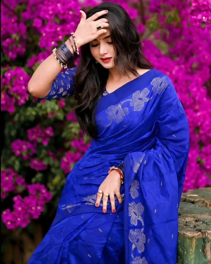 graceful saree girl profile