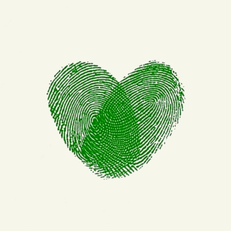 green heart whapp dp cute