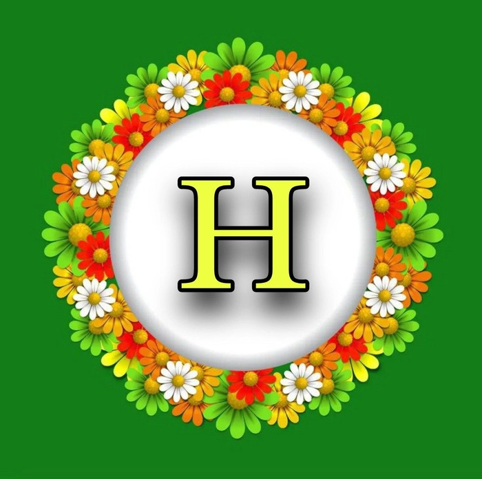 h name photo dp