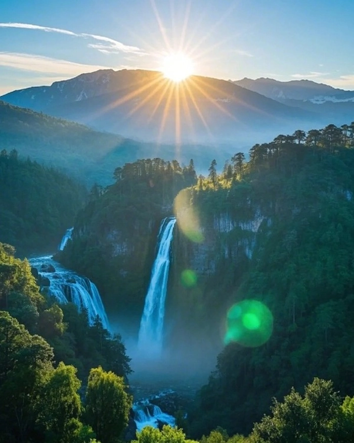 images for dp nature
