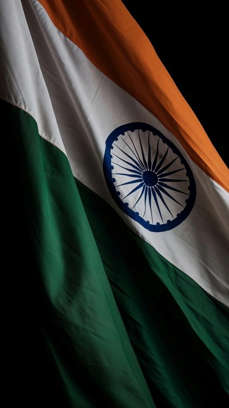 indian flag dp
