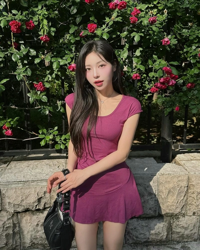 korean dp