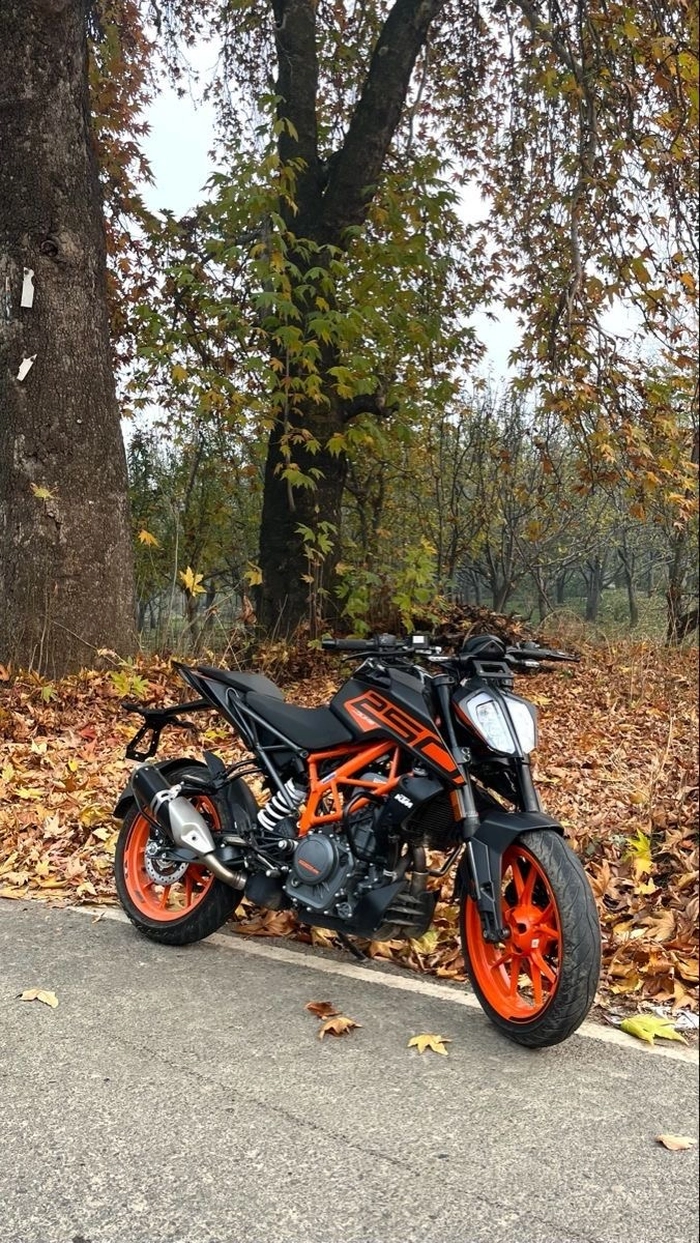ktm duke 390 dp