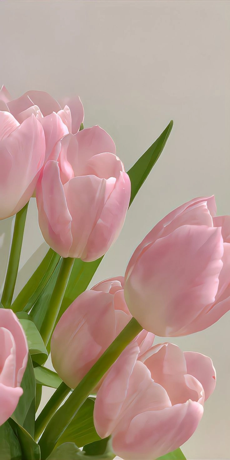 pink flower whatsapp dp