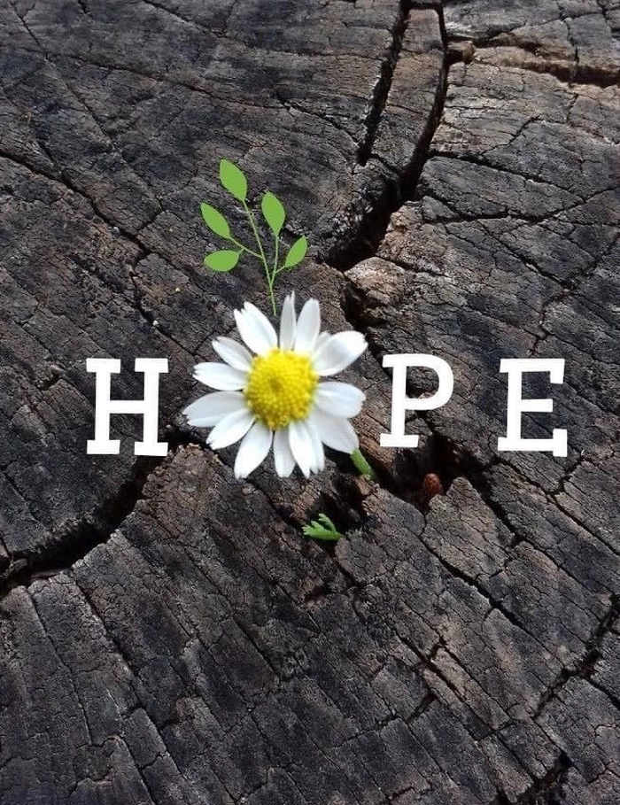 positive pics for dp