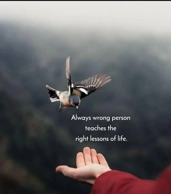 positive whatsapp dp