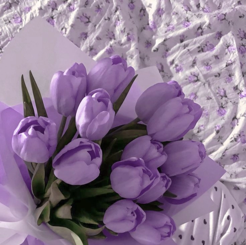 purple dp aesthetic