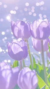 purple flower dp for whatsapp