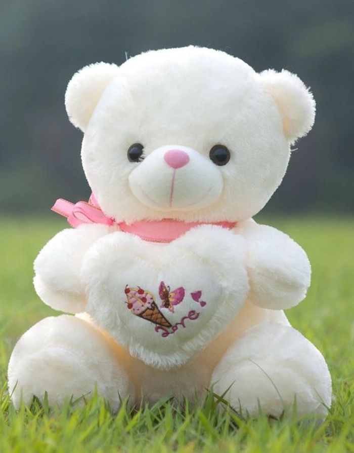 teddy bear photos dp