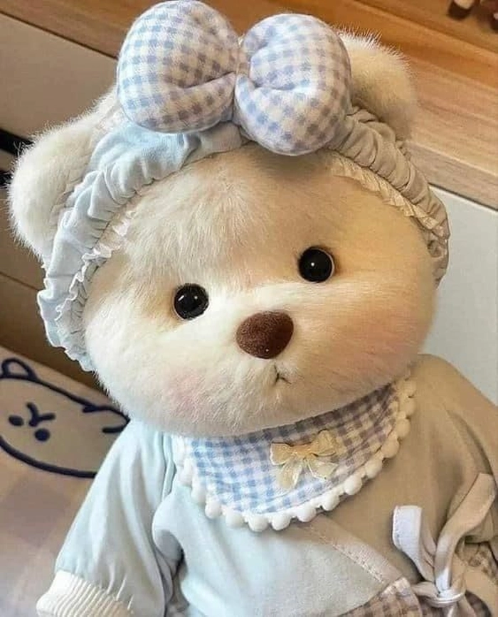 teddy bear pics