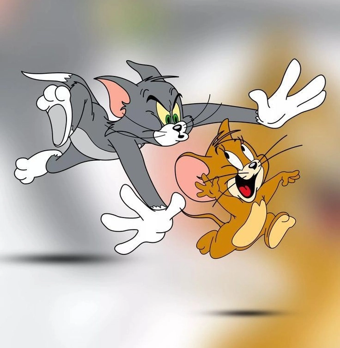 tom and jerry dp hd