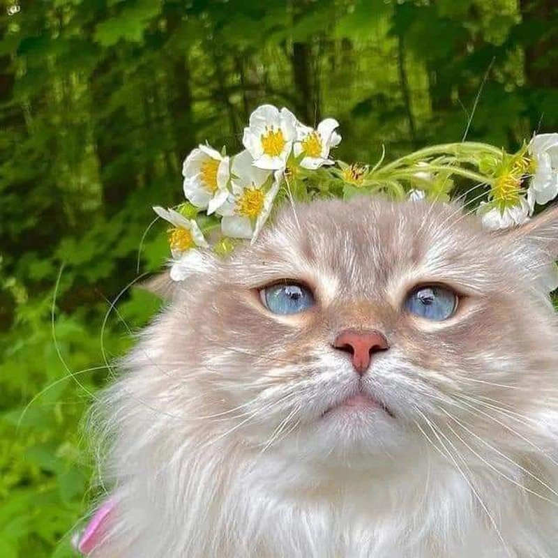 unique aesthetic for instagram dp