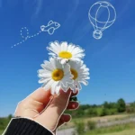 236+ Simple Dp For Instagram Stylish & Minimal Collection