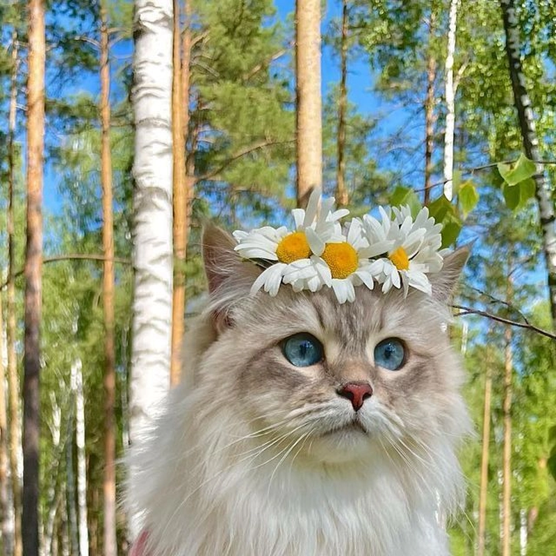 unique trendy dp for instagram