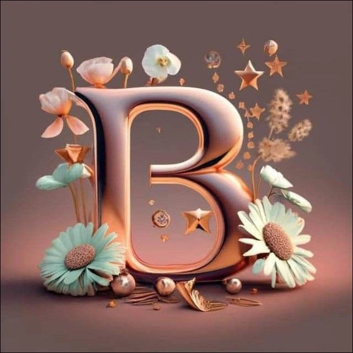 whatsapp b letter dp