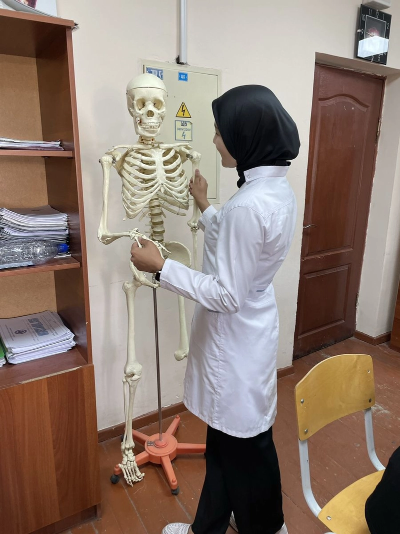 whatsapp dp images for doctor