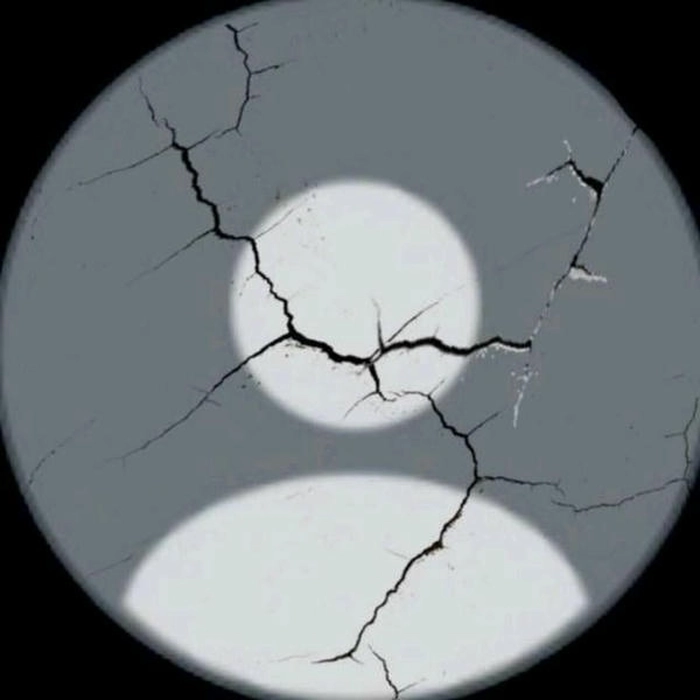 whatsapp no dp image