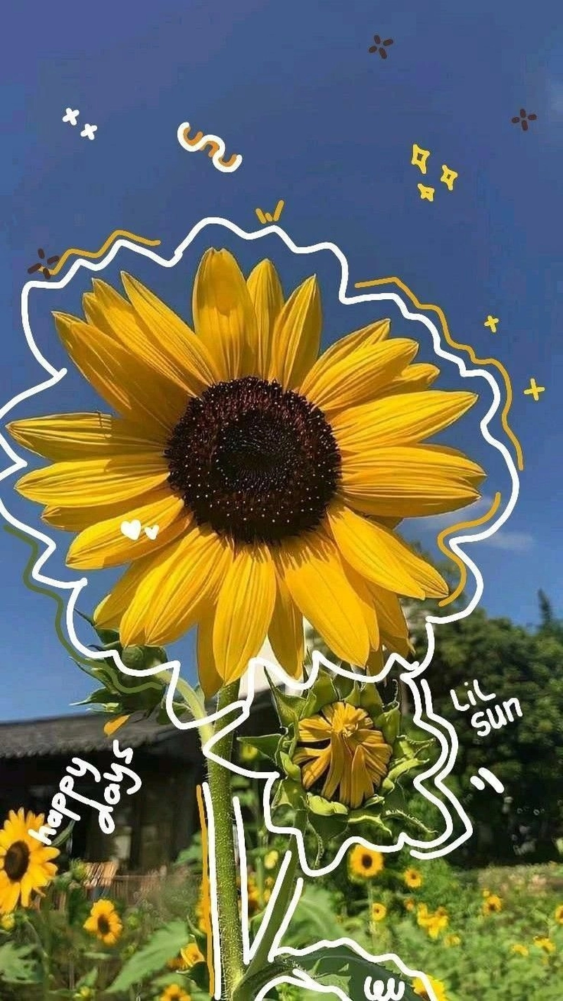 yellow colour dp for whatsapp text