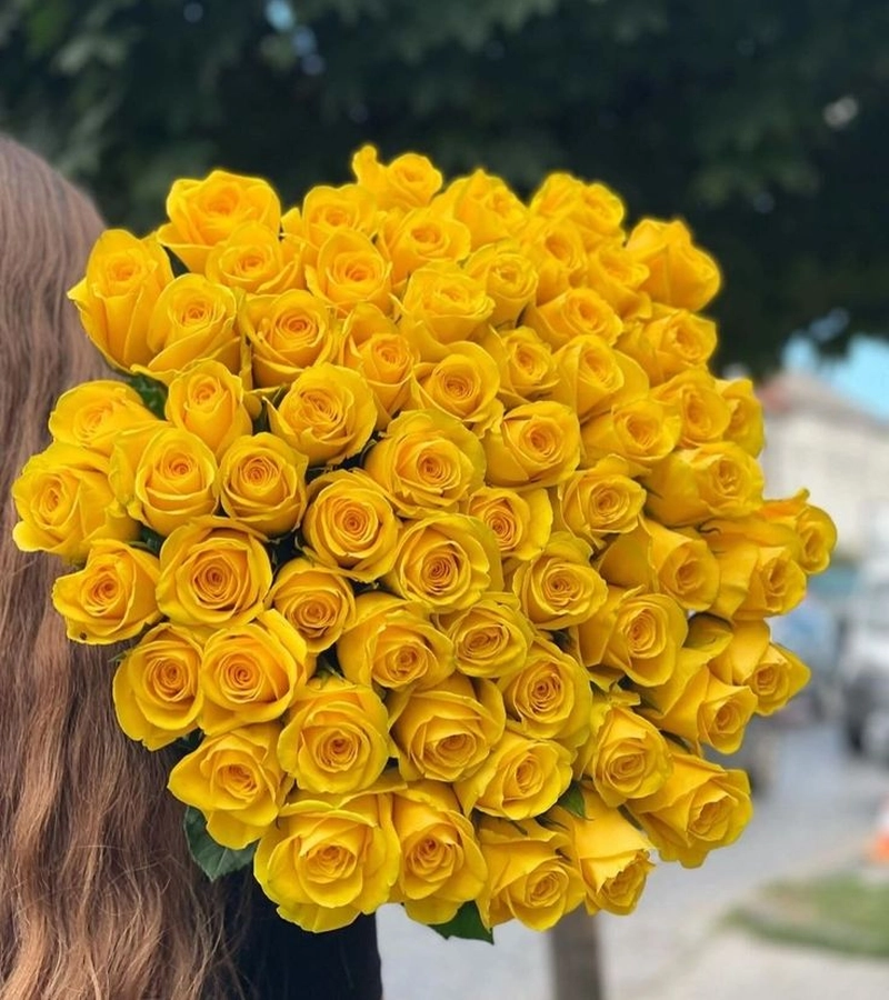 yellow rose images dp pic