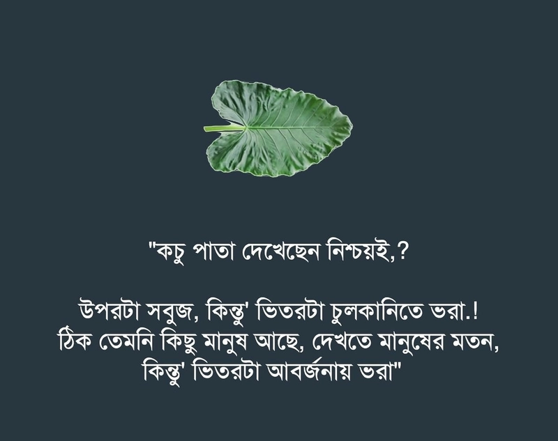 2 line sad shayari in bengali