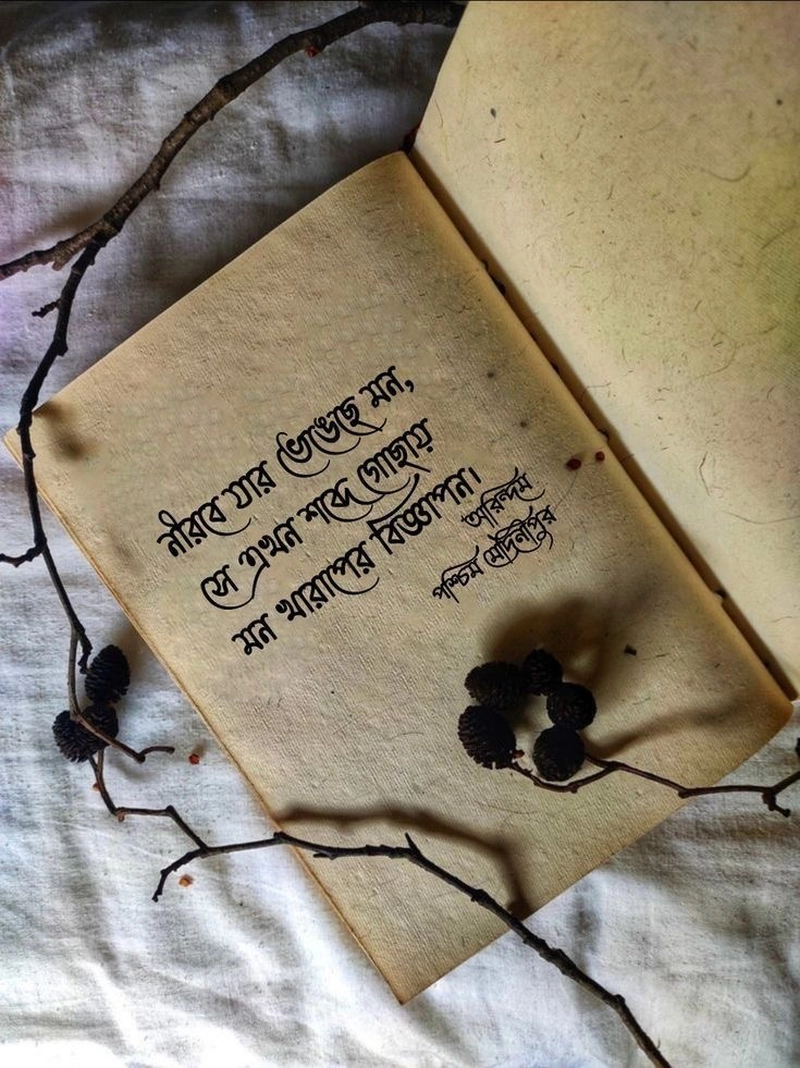 bangla sad shayari photo