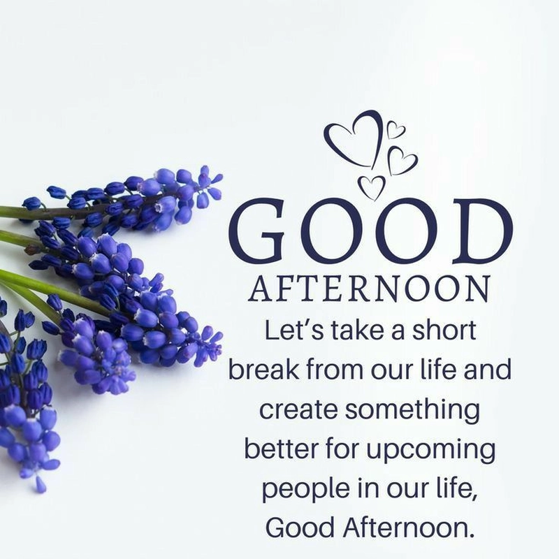 beautiful good afternoon images with quotes