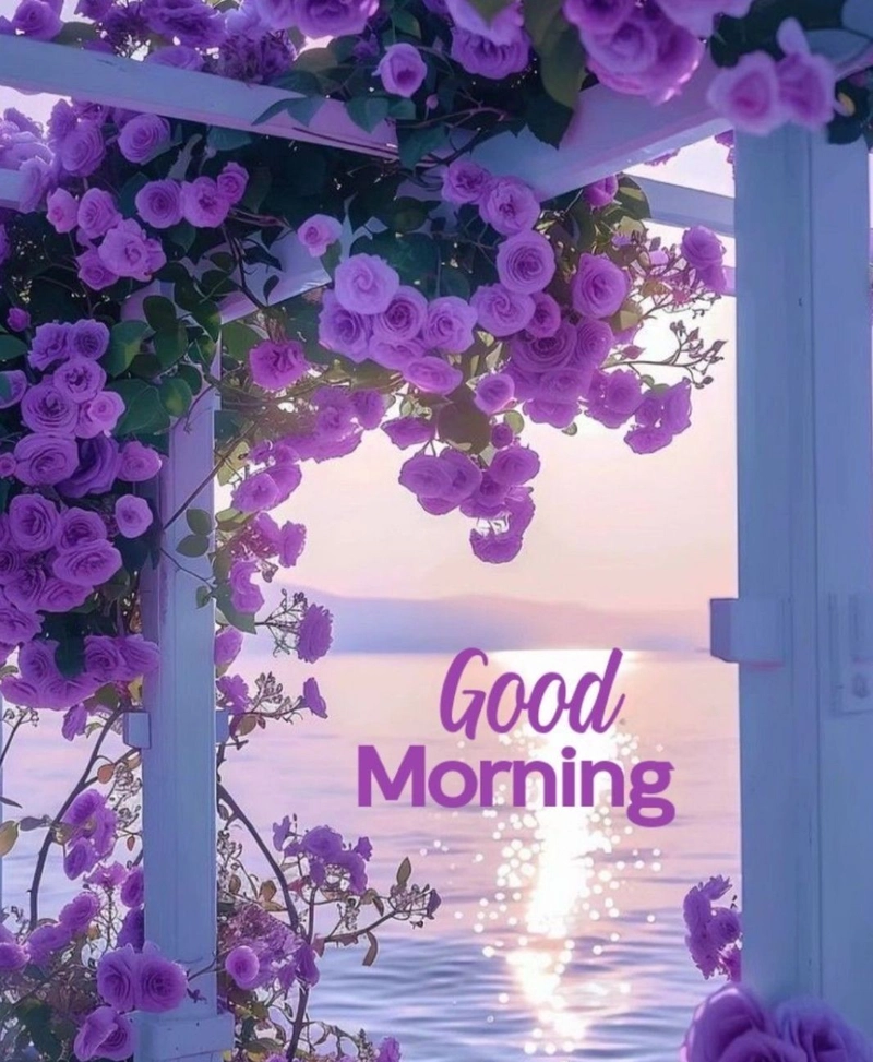 beautiful good morning purple flowers