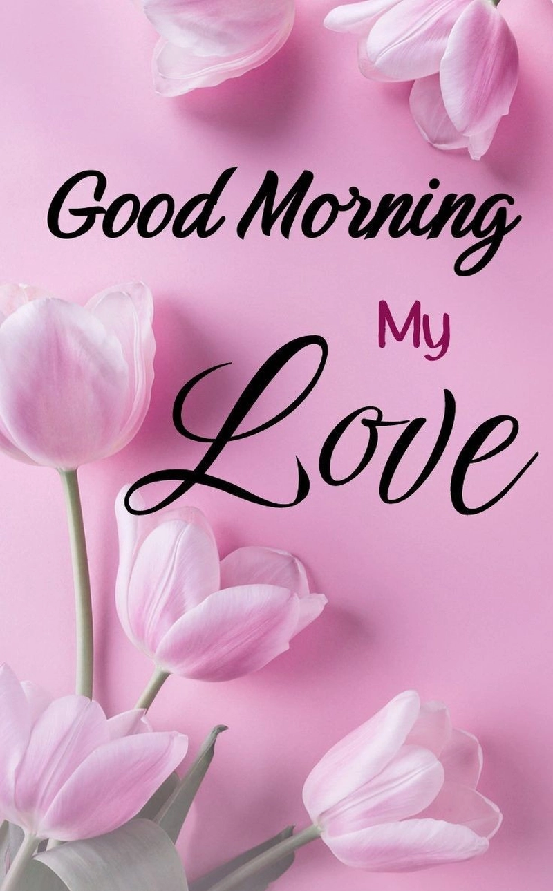 beautiful love good morning flowers