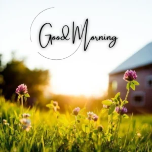 beautiful morning scenery