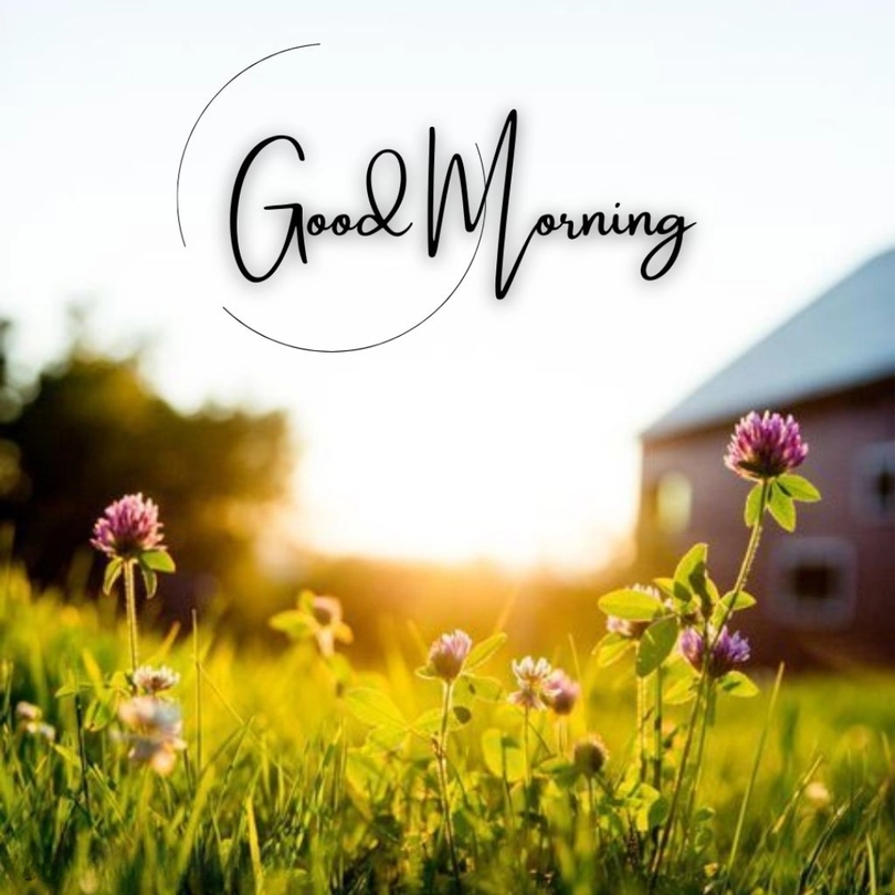 beautiful morning scenery