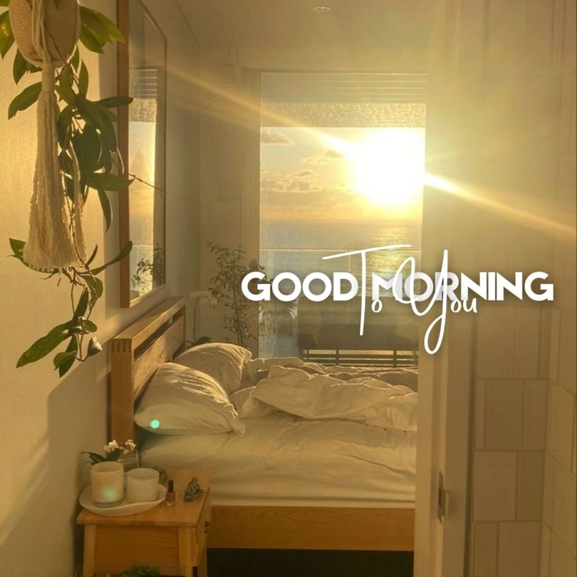 beautiful scenery good morning